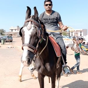 Meet your Posher, Harish